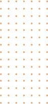 Shadow Image
